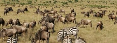 Kenia