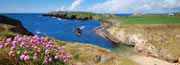 Reisen und Urlaub in Cork