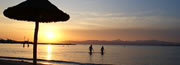 Reisen und Urlaub in El Arenal