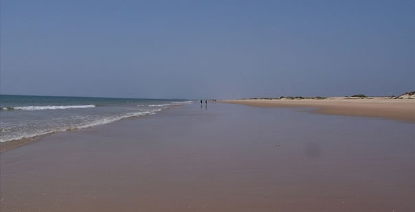 Altura