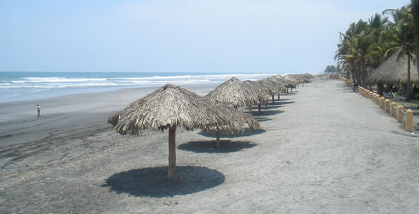 San Pedro De Alc�ntara
