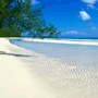 Hotel Gran Bahama