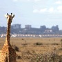 Hotel Nairobi