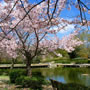 Kobe (Japan)