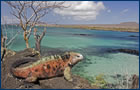 Kreuzfahrten Galapagos Inseln