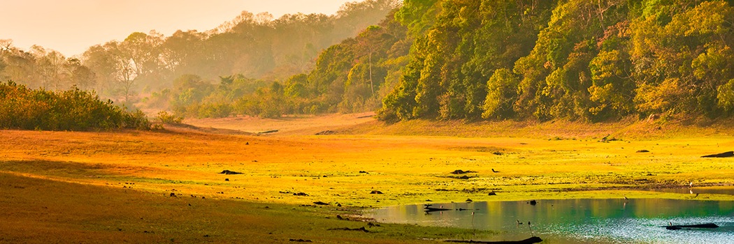 Periyar