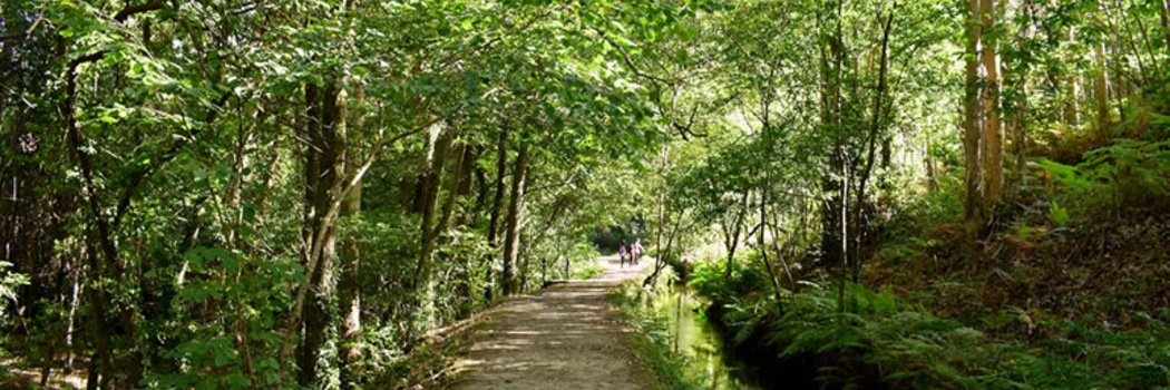 San Romao da Retorta