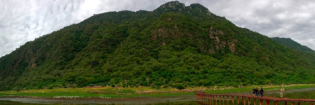 Parque Nacional Lago Manyara