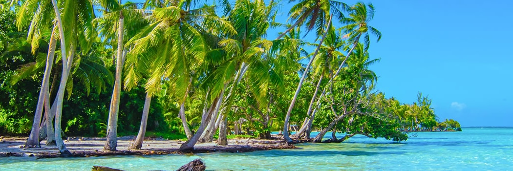 Tahaa