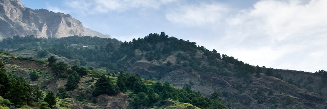 La Palma