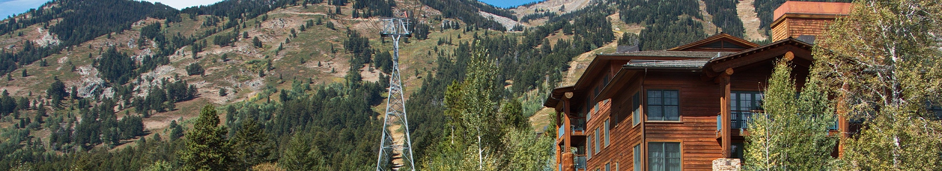 Flug+Hotel Angebote nach **Jackson Hole - Wy**