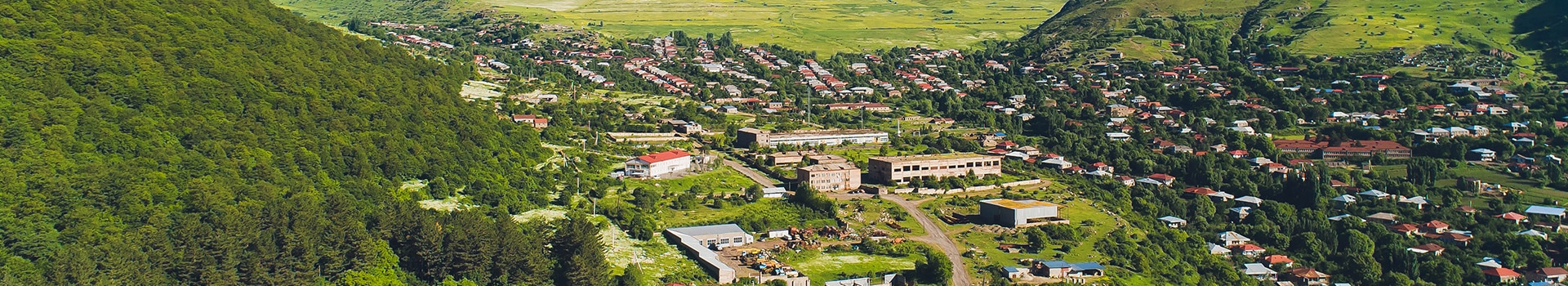 Flug+Hotel Angebote nach **Goris**