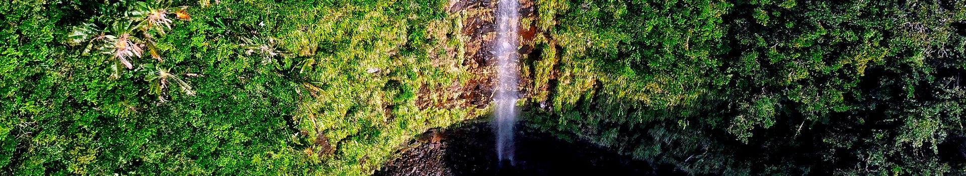 Ihr Urlaub in ** Black River Gorges National Park** beginnt hier