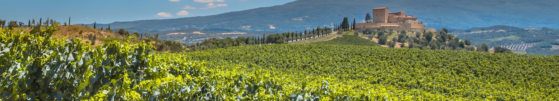 Auto Rundreisen Rioja