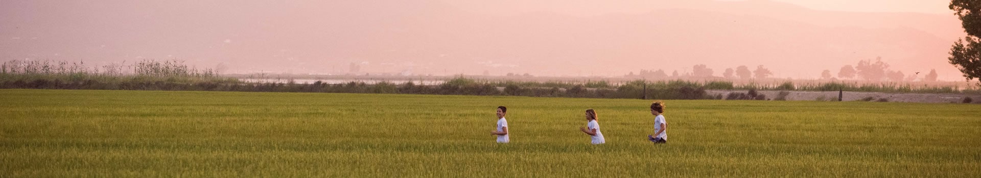 Reisen nach **Terres de l'Ebre**