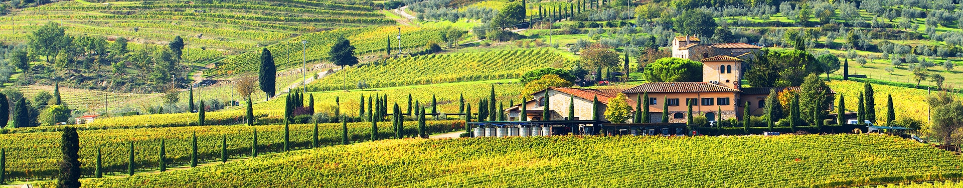 Route durch die Toskana, von Florenz nach Siena