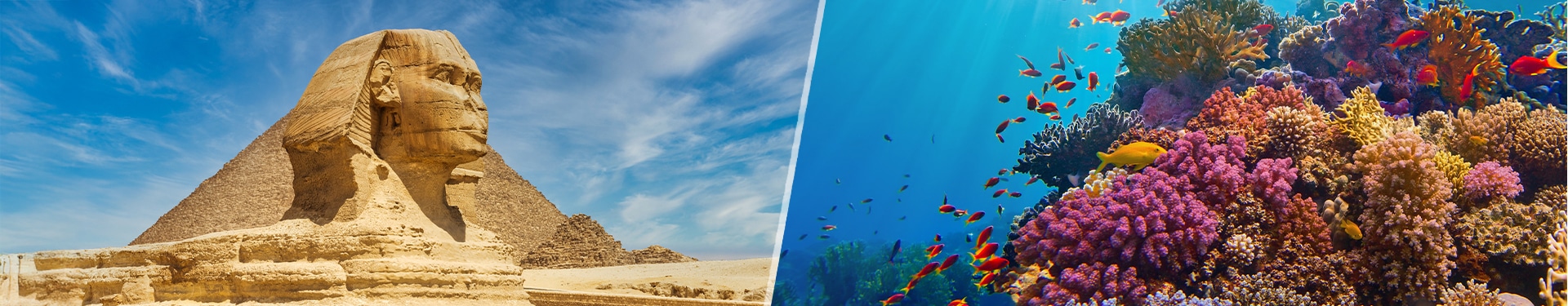 Sharm El Sheikh und Kairo