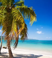 Punta Cana – Wale, Kunst und Golfen Punta Cana – Wale, Kunst und Golfen