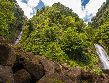 Dominica Dominica