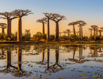 Madagaskar Madagaskar