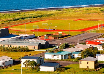 Vik