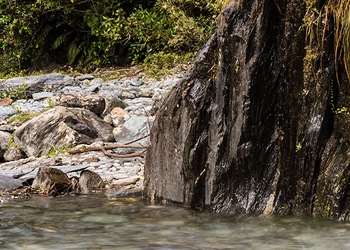 Franz Josef