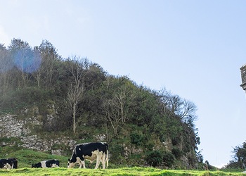 Mullingar