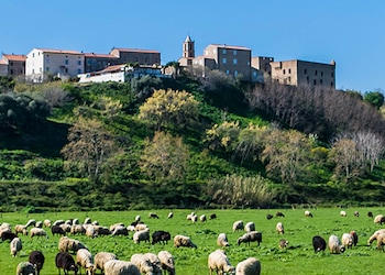 Aléria