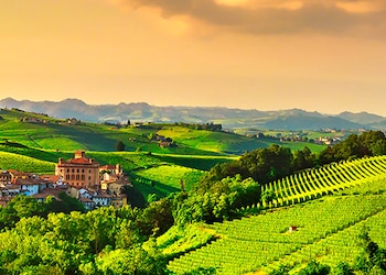 Barolo Cuneo