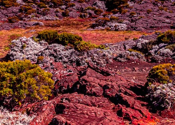 Piton de la Fournaise