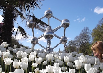 Brüssel