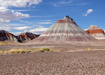 Holbrook - Az