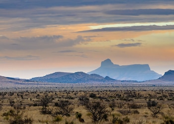 Tucumcari - Nm