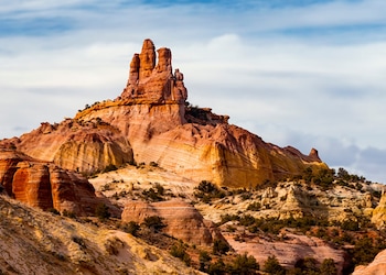 Gallup - Nm