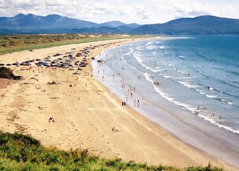 Dingle