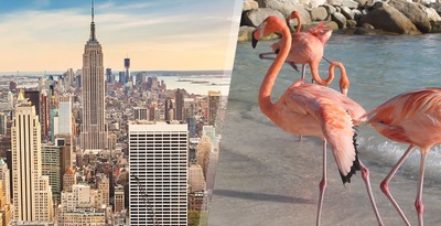 New York und Aruba New York und Aruba