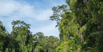 Tortuguero, Arenal und Manuel Antonio Tortuguero, Arenal und Manuel Antonio