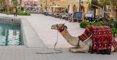 Kairo, 4 Nächte Kreuzfahrt und Hurghada Kairo, 4 Nächte Kreuzfahrt und Hurghada