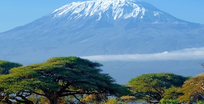 Masai Mara, Naivasha und Amboseli mit Sansibar Masai Mara, Naivasha und Amboseli mit Sansibar
