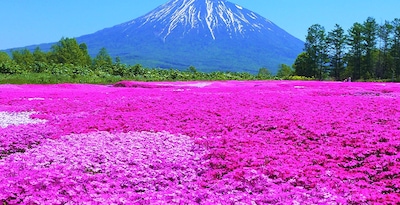 Route durch Hokkaido und Tokio Route durch Hokkaido und Tokio