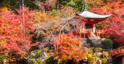 Tokyo, Takayama, Kyoto und Osaka Tokyo, Takayama, Kyoto und Osaka