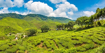 Route von Cameron Highlands nach Malakka Route von Cameron Highlands nach Malakka