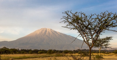 Arusha