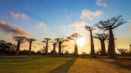 Afrika Afrika