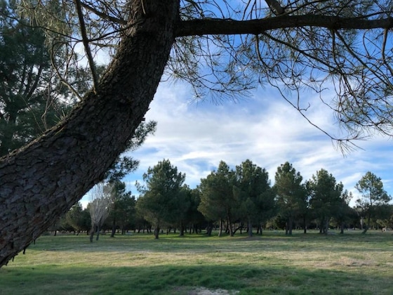Gallery - Alda Guijuelo