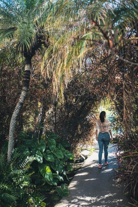Gallery - Hacienda San Jorge