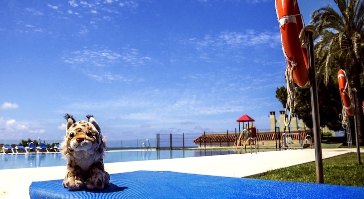 Gallery - Gran Hotel Del Coto