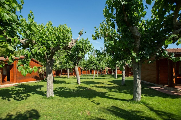 Gallery - La Llosa