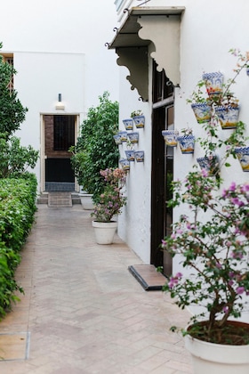 Gallery - Fontecruz Sevilla Seises