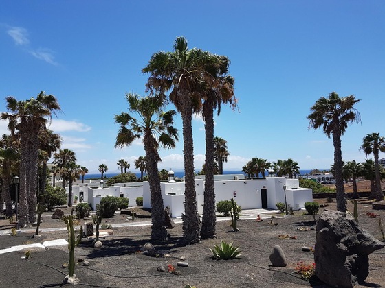 Gallery - Palmeras Garden